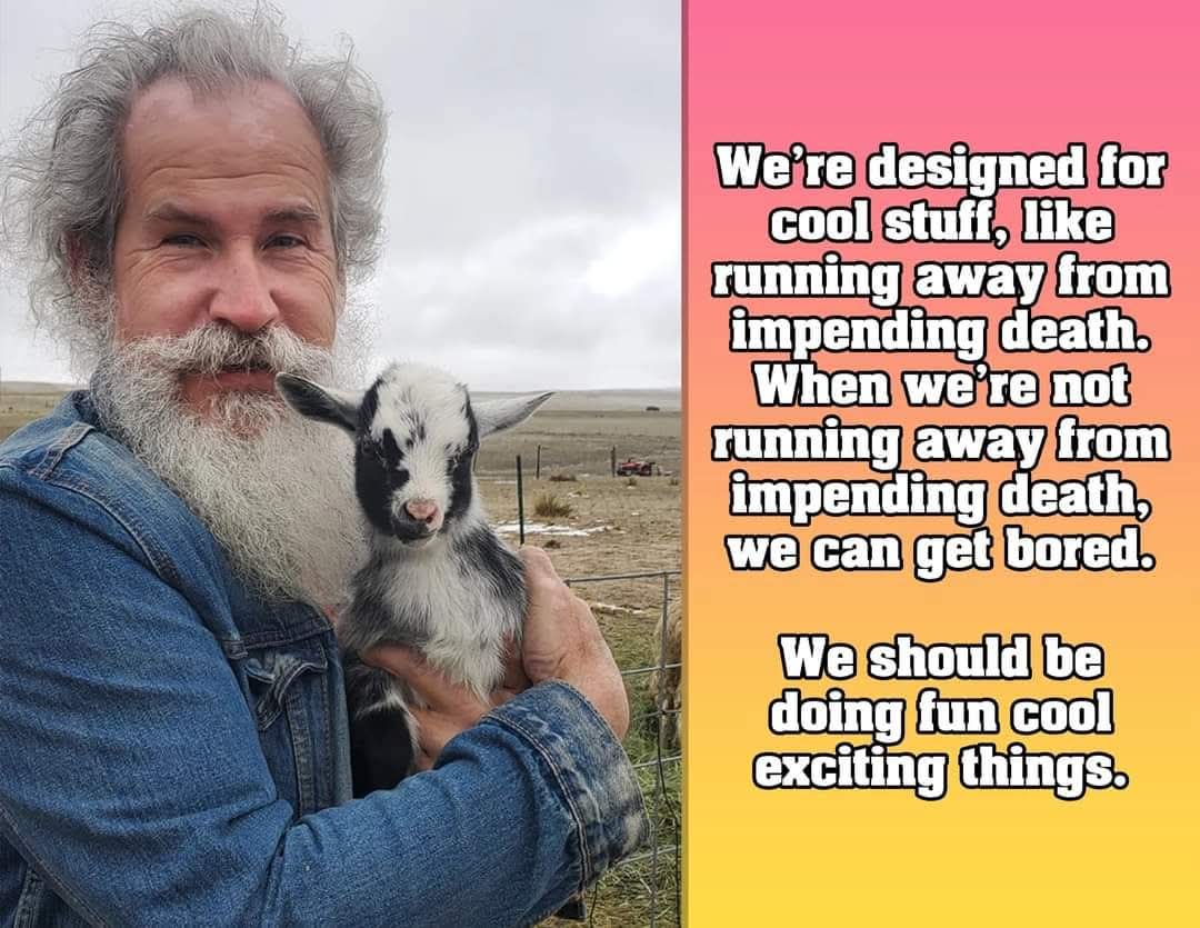 Rodney Douglas Norman tweet media