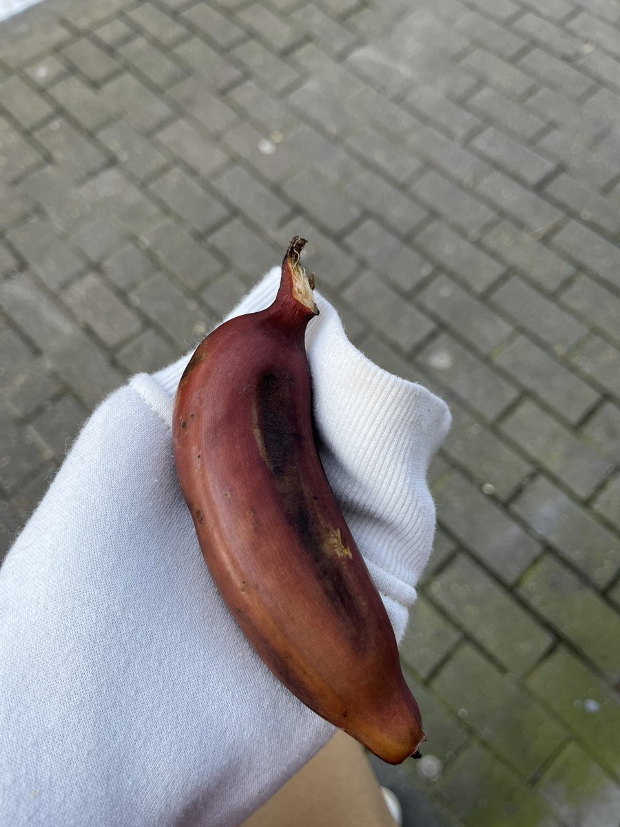 jay 🫐 tweet media