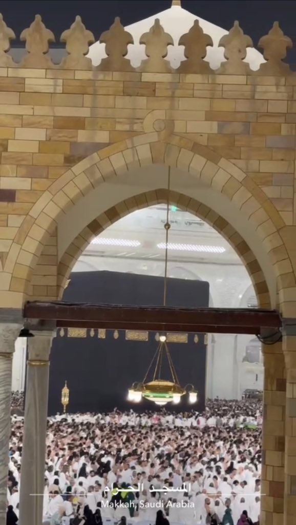 lele⭐️ tweet media