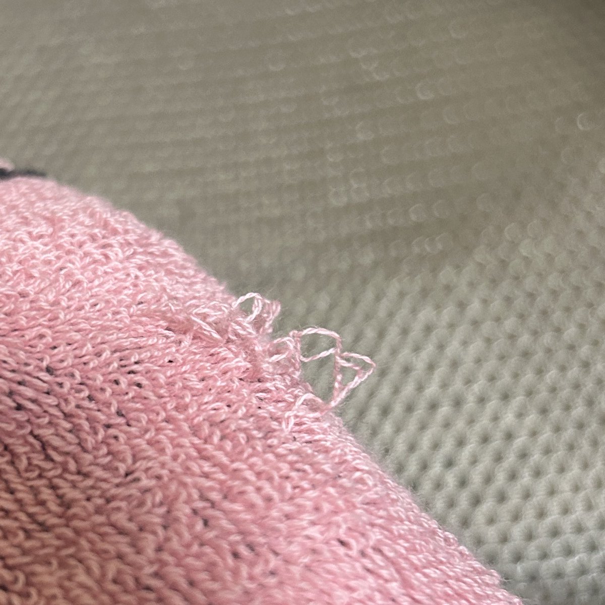 チキンカツ🐮 tweet media