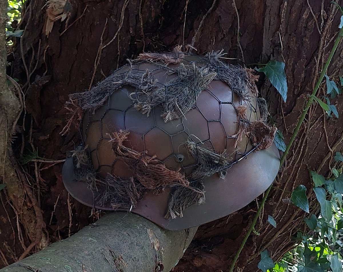 Dimi 🇧🇬🇮🇪 tweet media