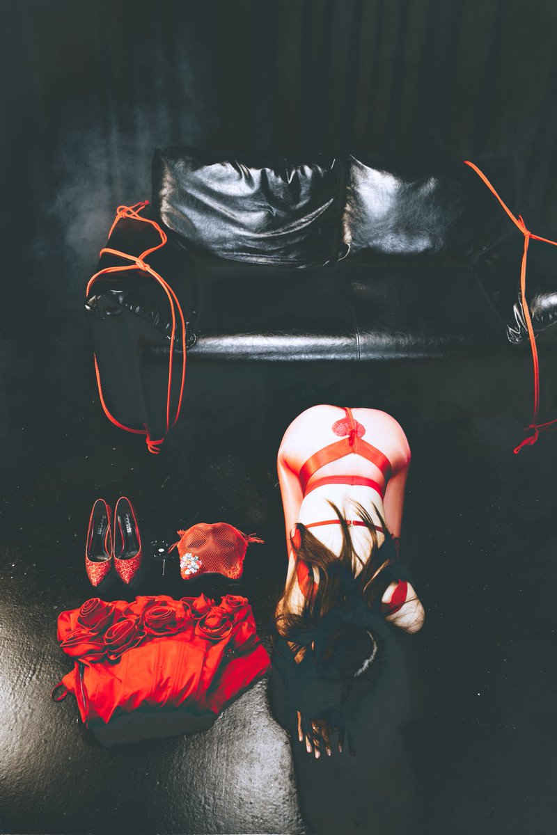 布丁🍮 tweet media