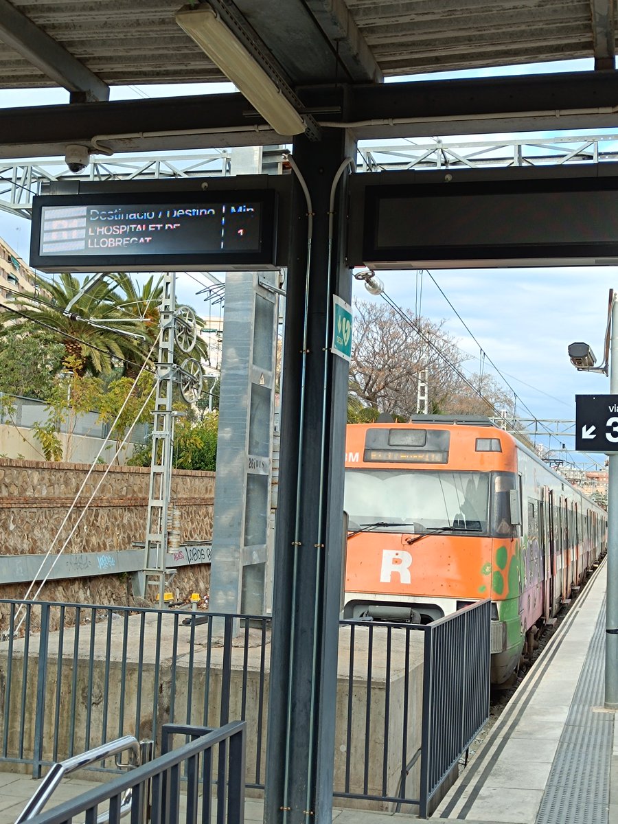 Montse M. Gonzalez tweet media