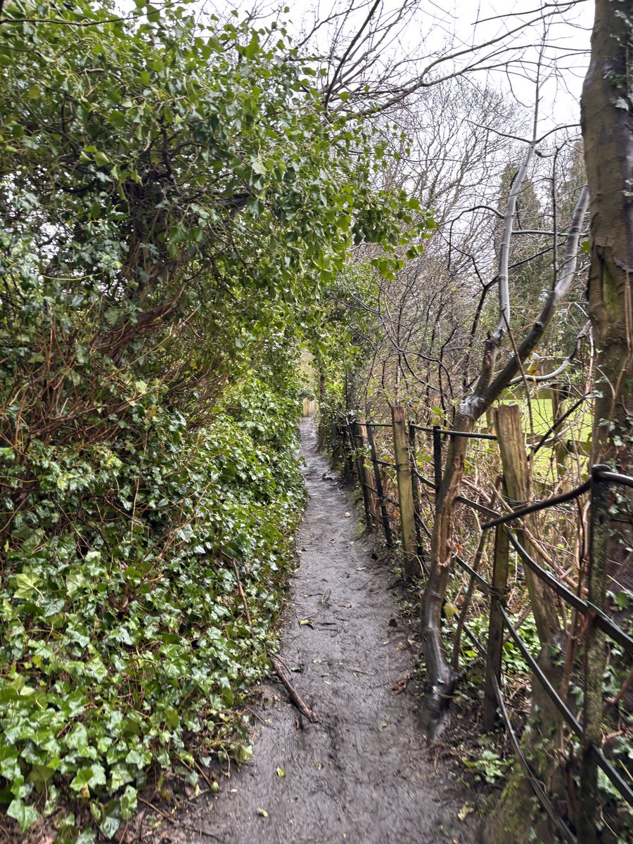 Mark Mawdsley tweet media