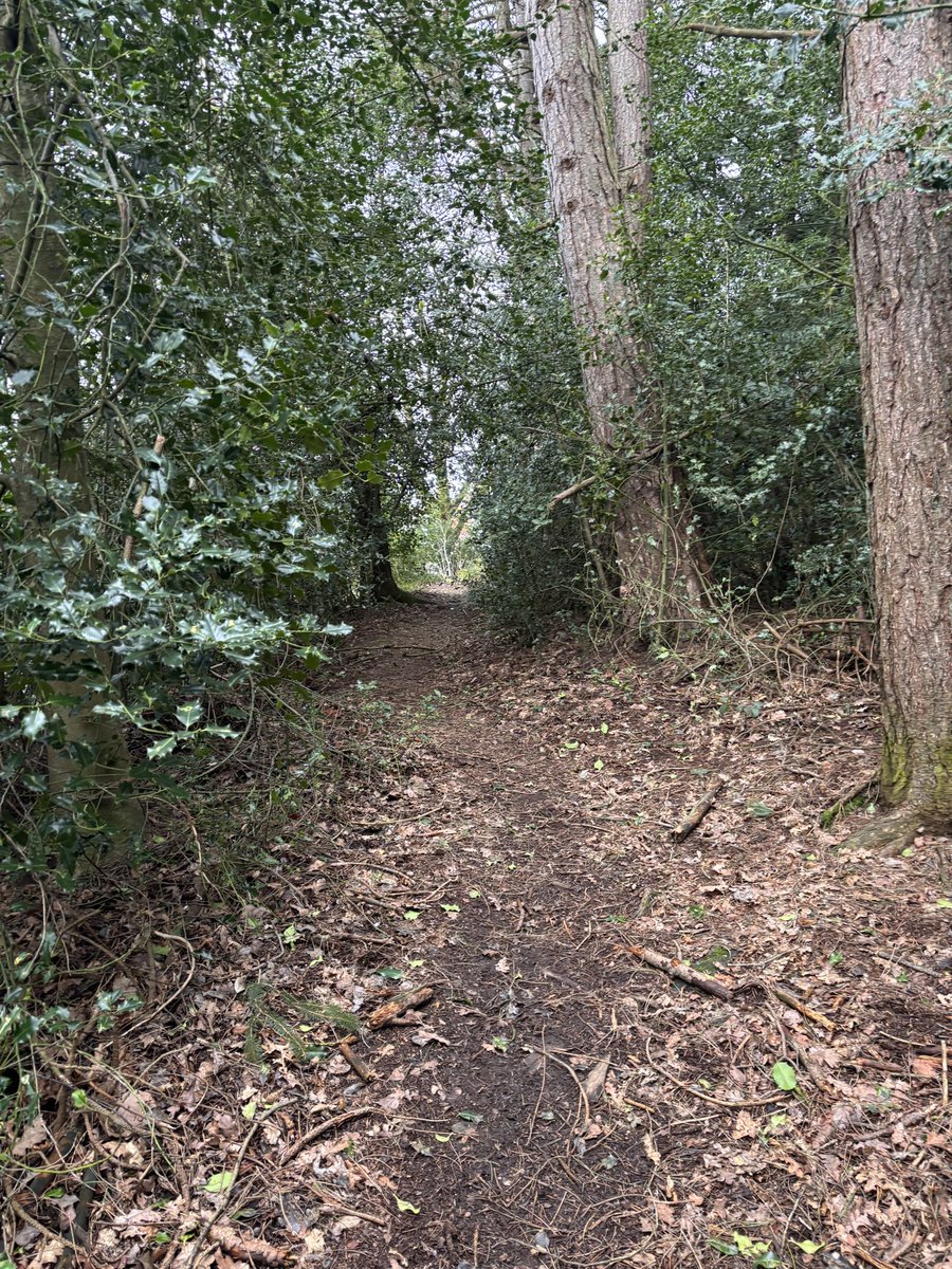 Mark Mawdsley tweet media