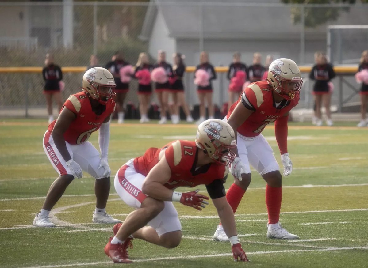 Dominic Hogan tweet media