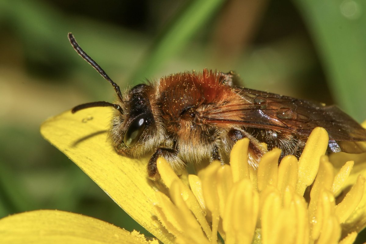 Dr Juliet Turner tweet media