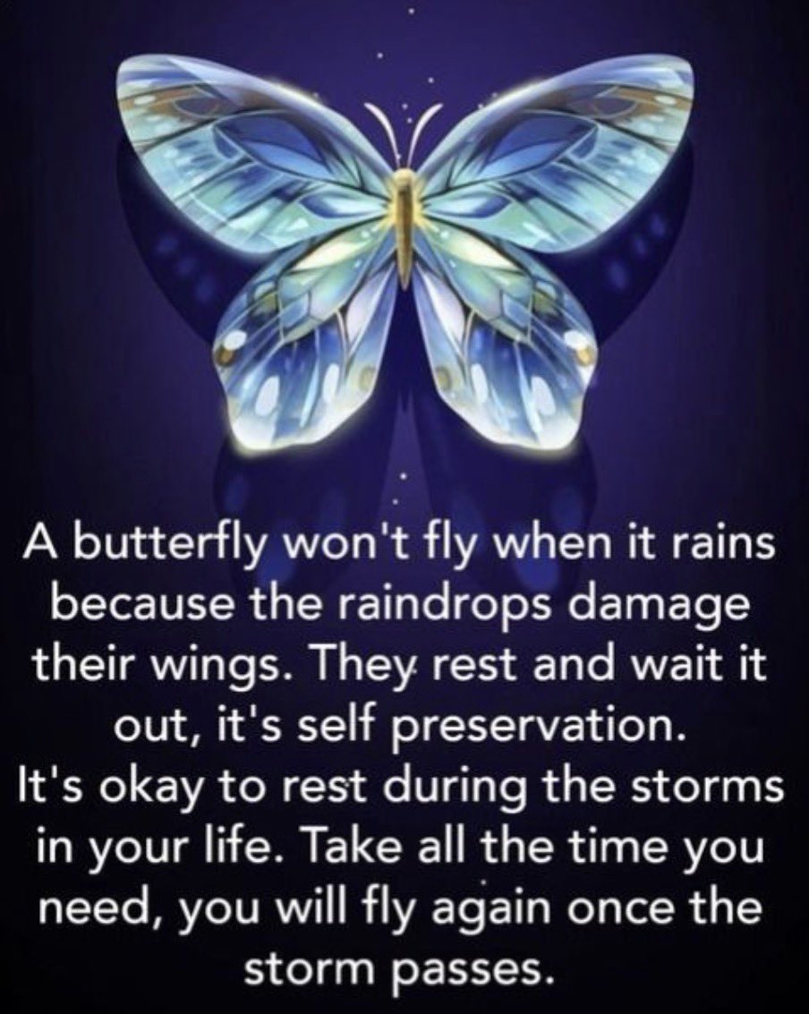 Daniela (she/her) 🇨🇦🇮🇹♉️ tweet media