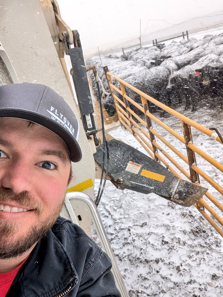 Joe Knobbe tweet media