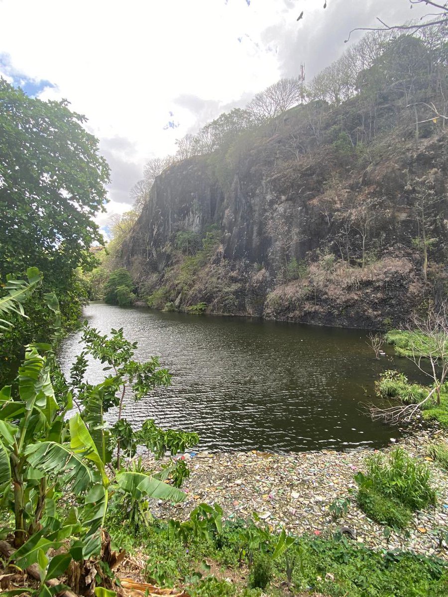 Urban Sustainable Lab tweet media