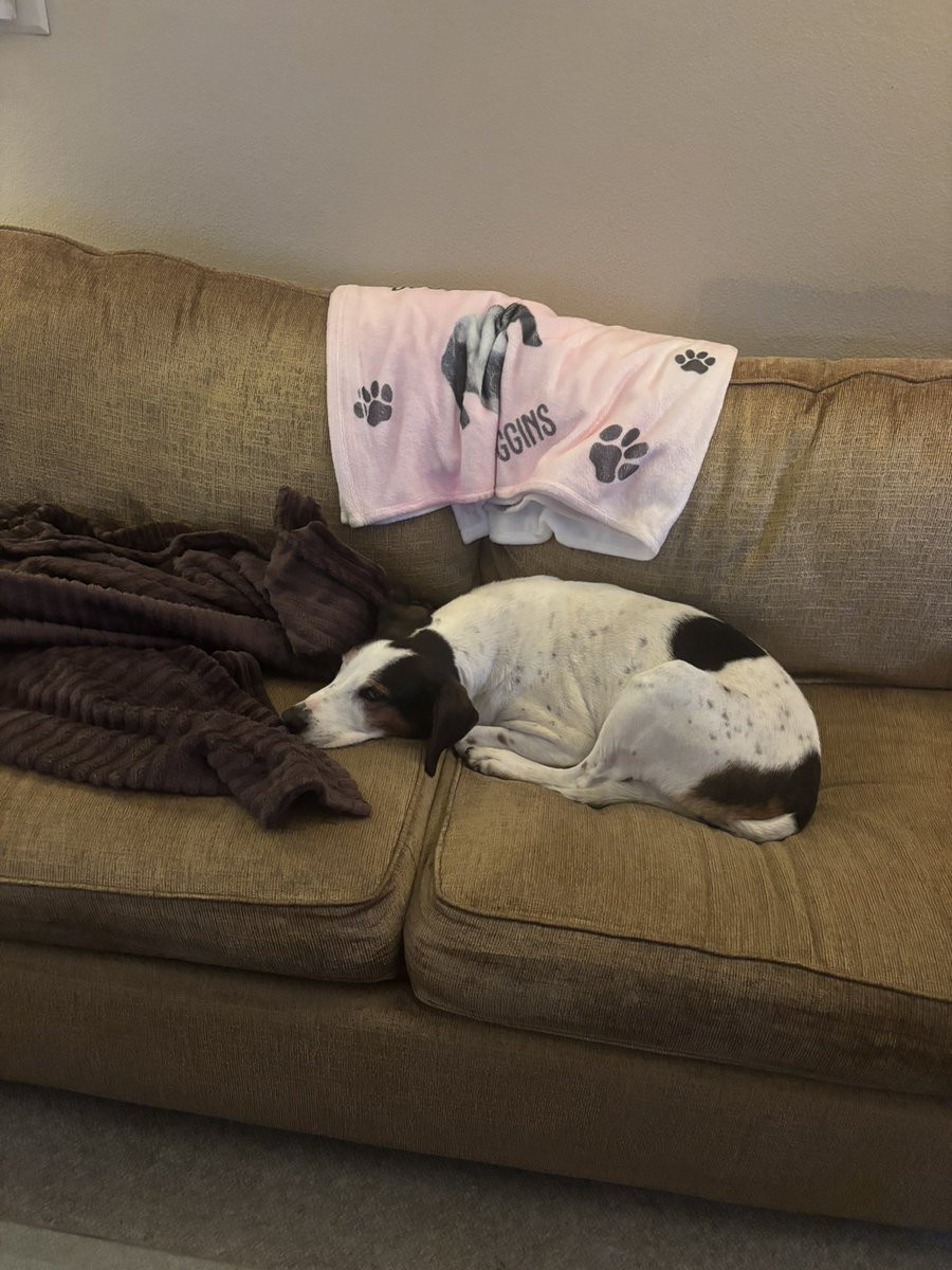 The Dude “Duggins” WooWoo Floppys tweet media