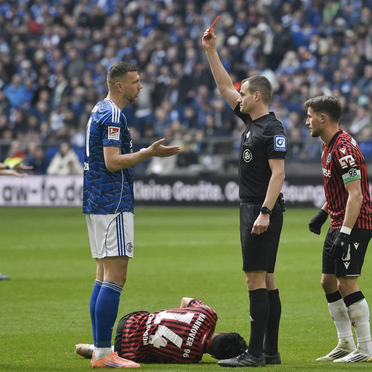 SchalkeZone tweet media