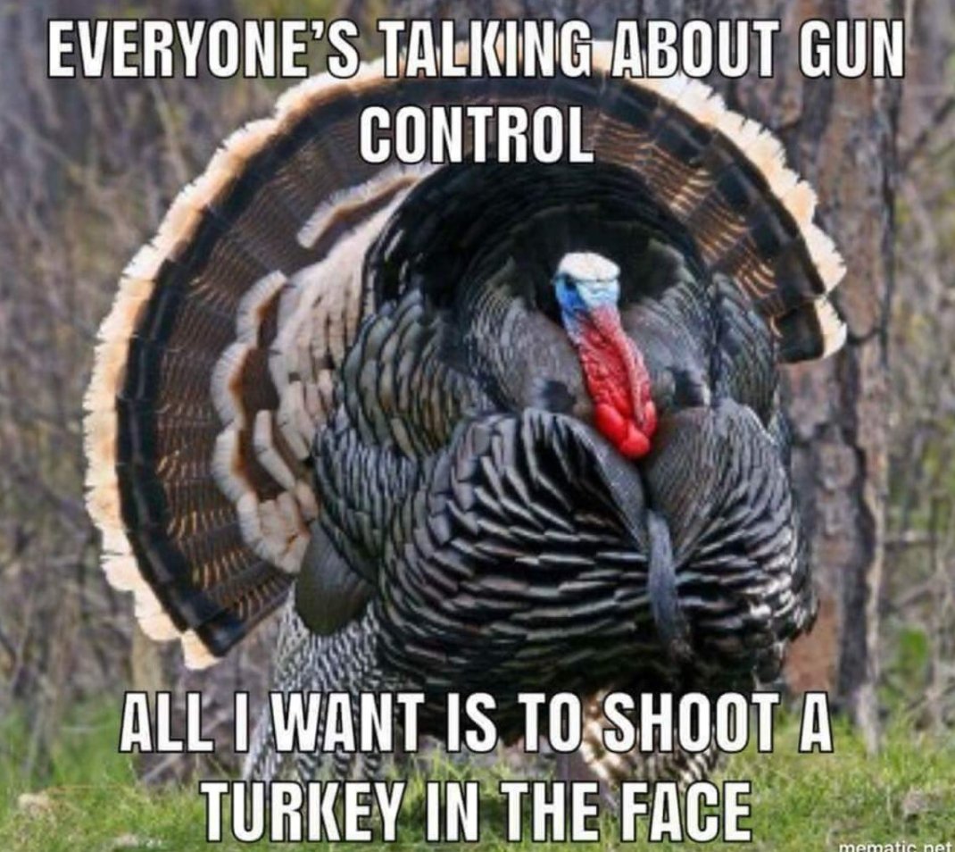 Mike Kostial tweet media