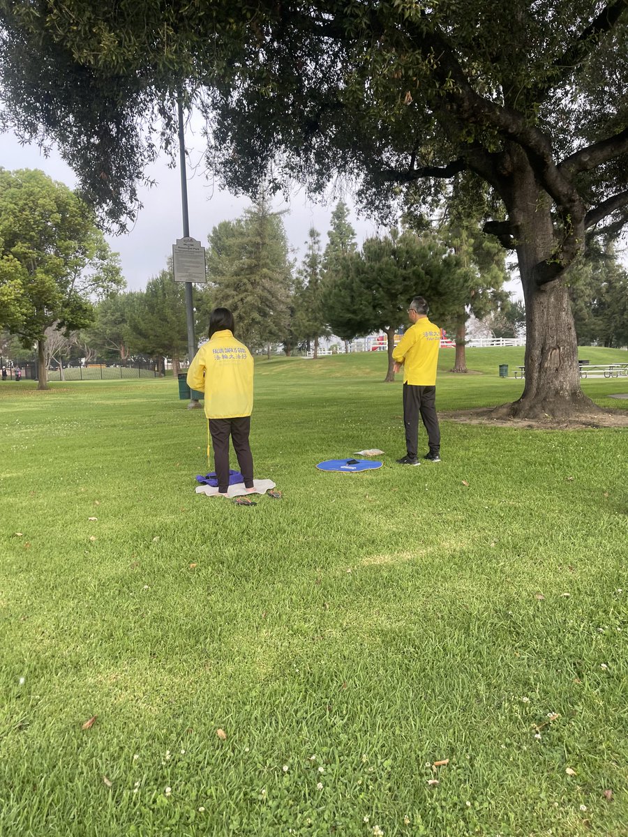 Wasim Zaidi tweet media