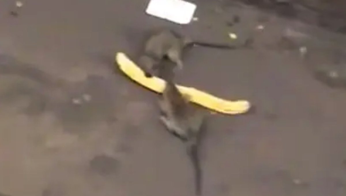 Una taberna de Sheffield tweet media