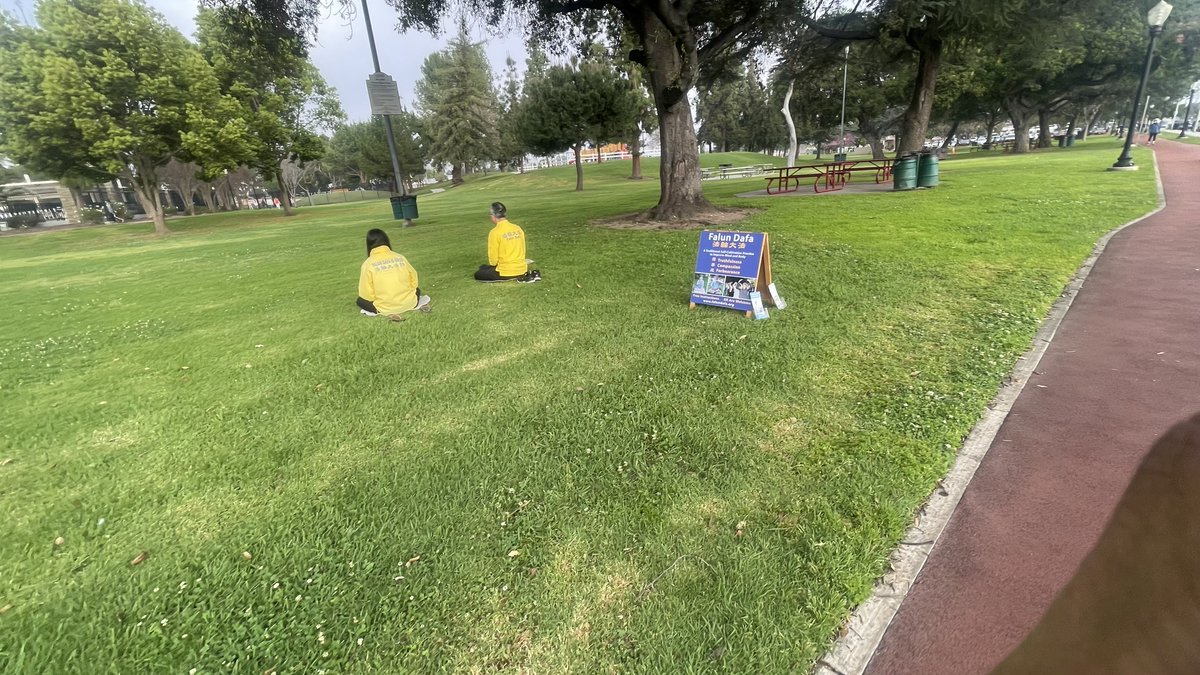 Wasim Zaidi tweet media