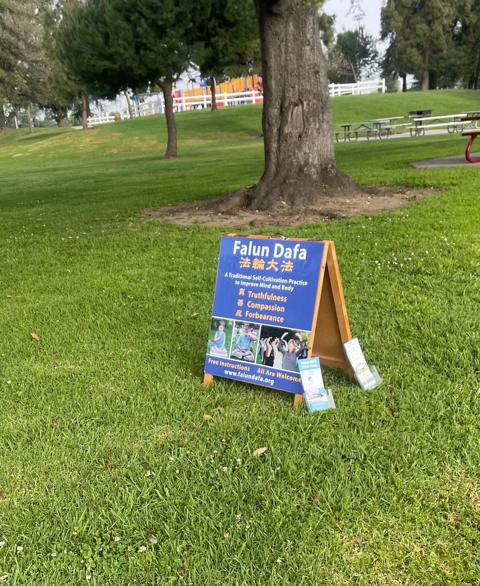 Wasim Zaidi tweet media