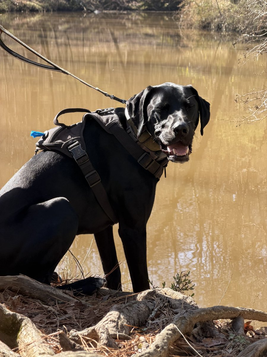 Tom Crowl tweet media