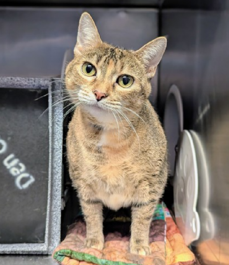 Jack5928 tweet media