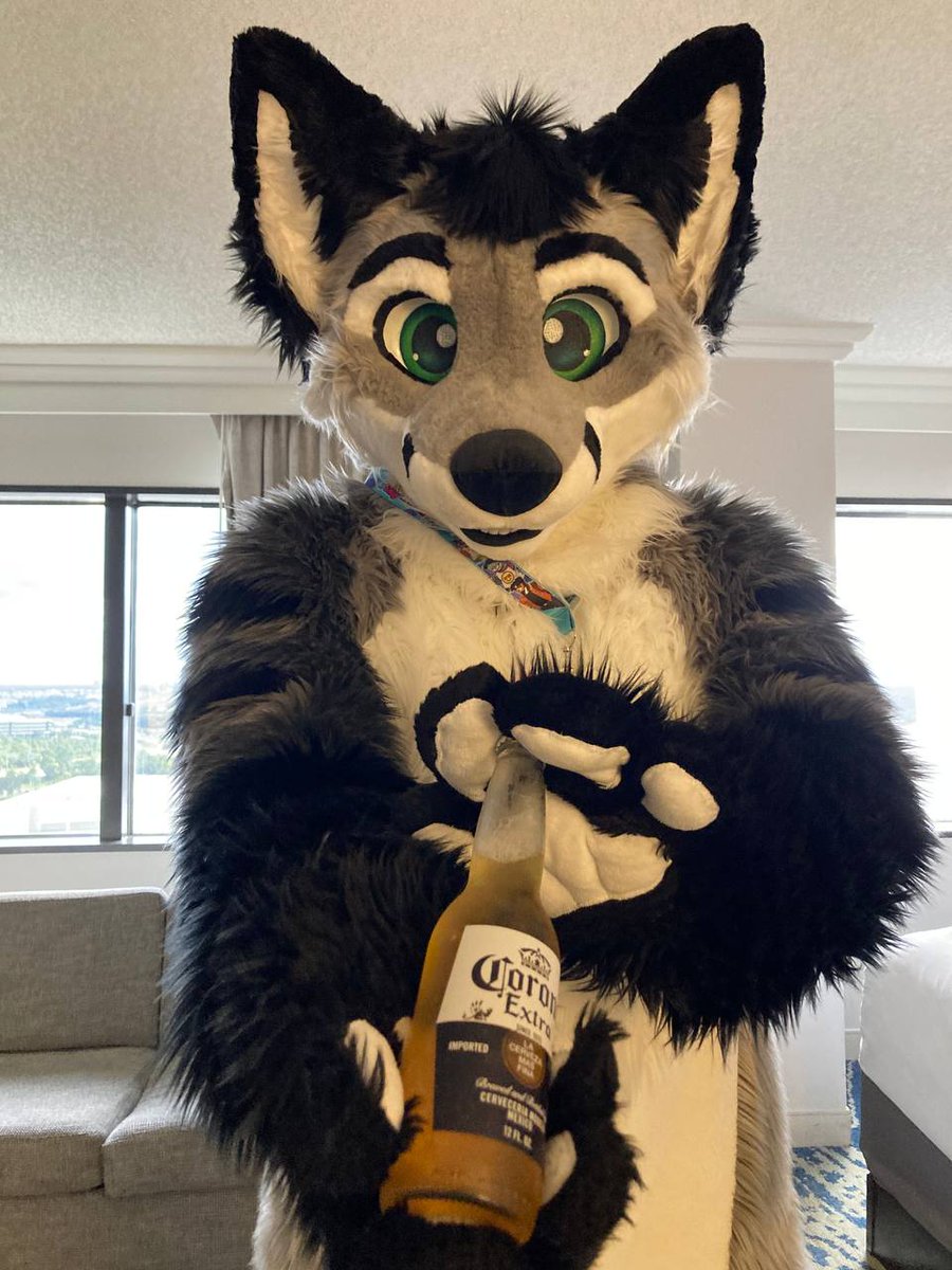 NEKO DAFOX 🔜 AC tweet media