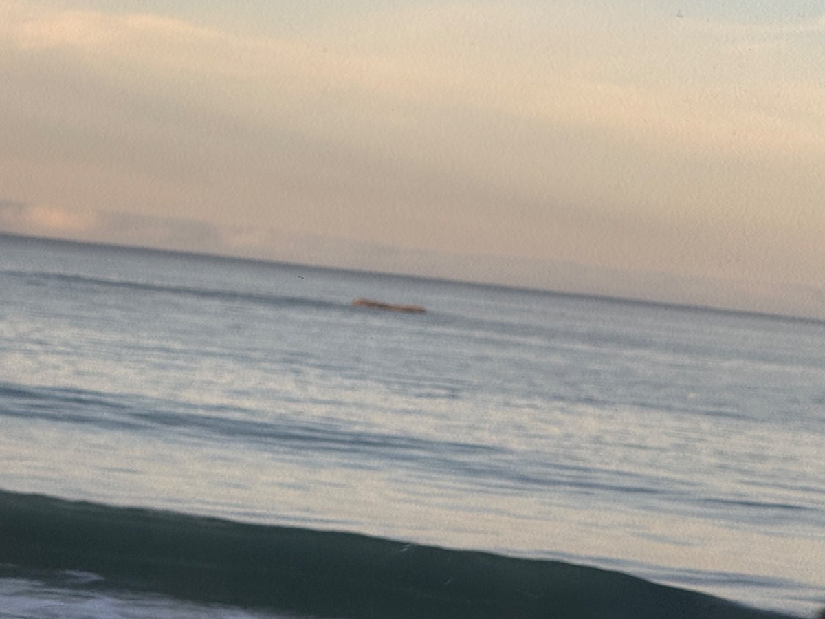 Lew Temple: The Texacan tweet media