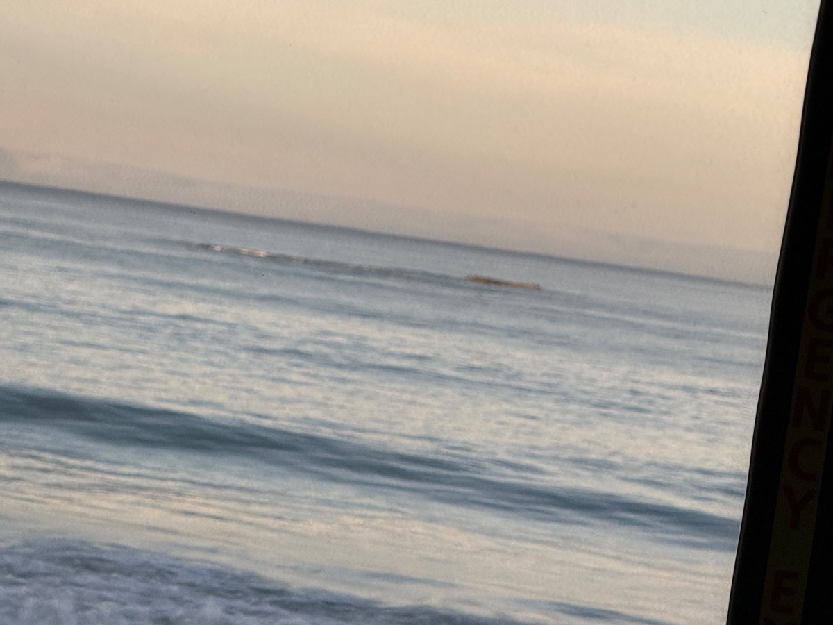 Lew Temple: The Texacan tweet media