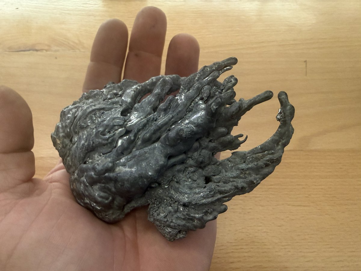 Signal Observer tweet media