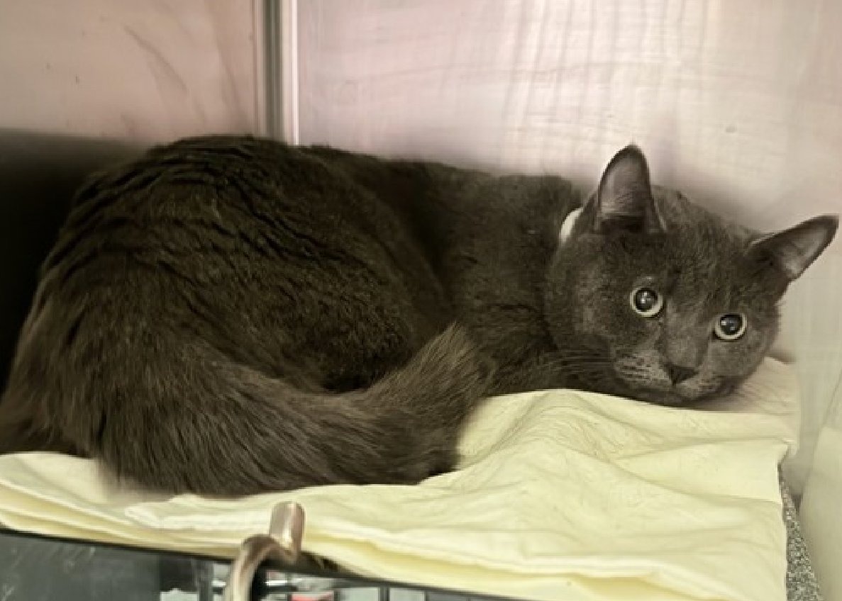 Jack5928 tweet media