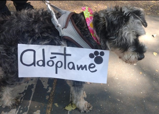 Karlita González. tweet media