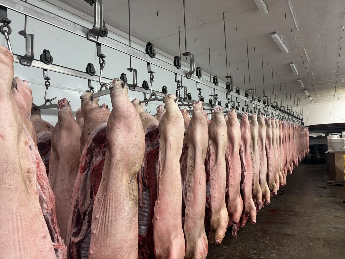 Greg Gunthorp tweet media