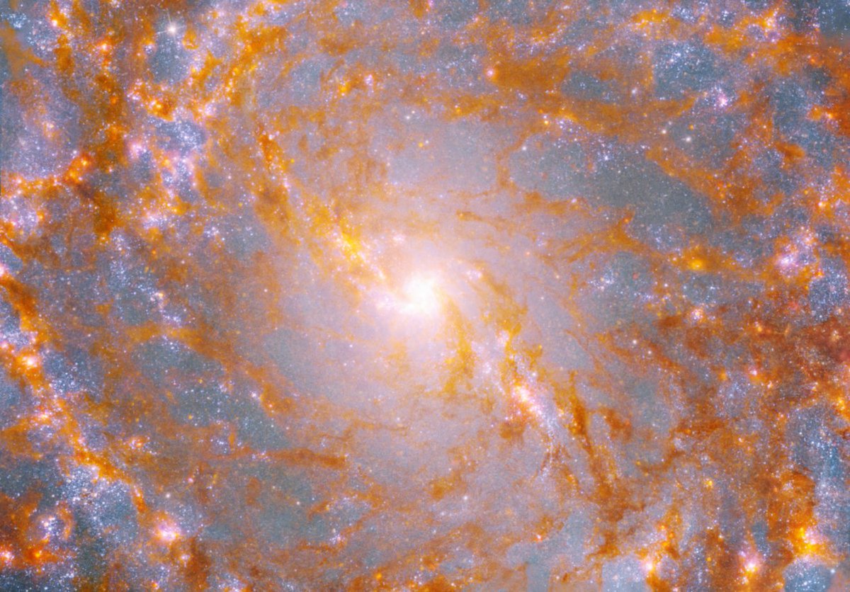 Hubble tweet media