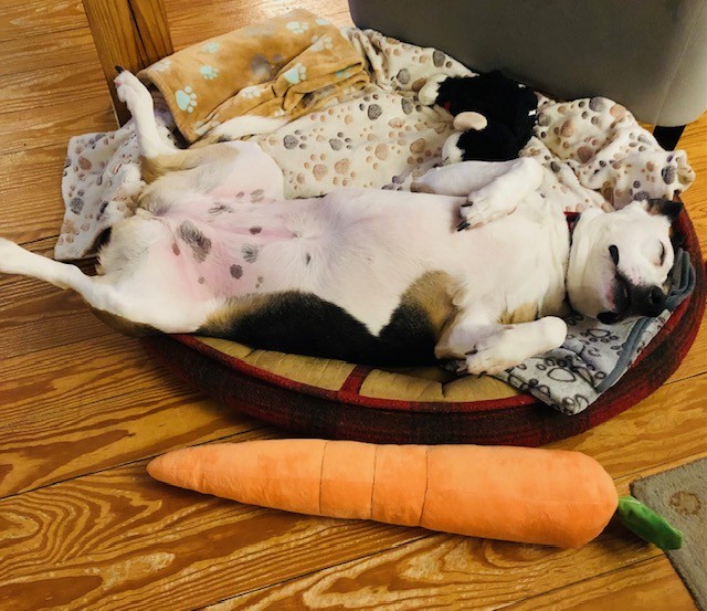 Lisa Burkin tweet media