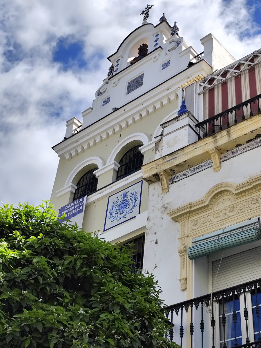 Chu 🌼 tweet media