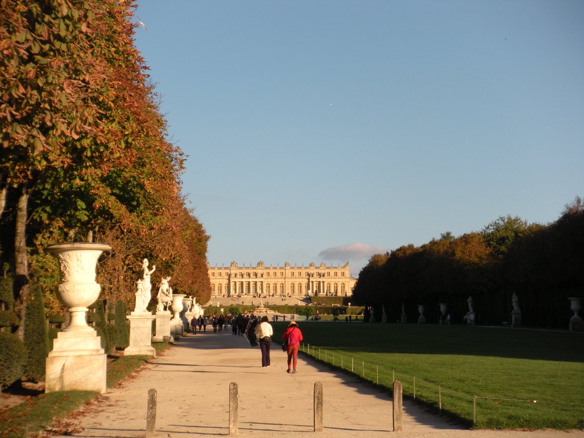 ᥣ𝗂α tweet media