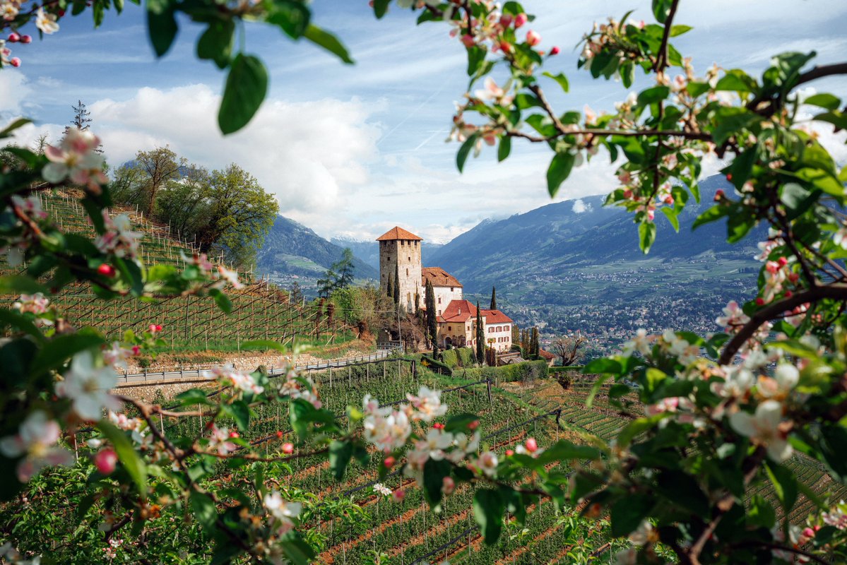 Michael Boegl tweet media