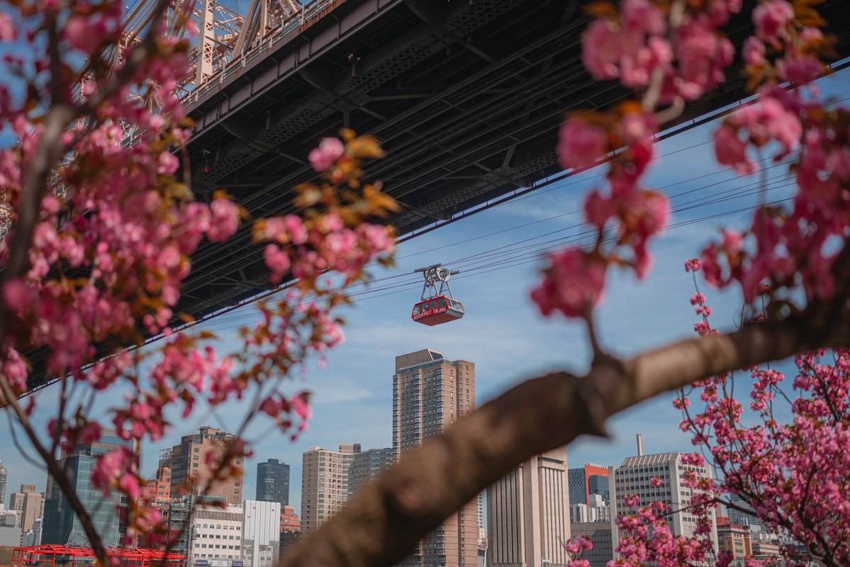 Michael Boegl tweet media