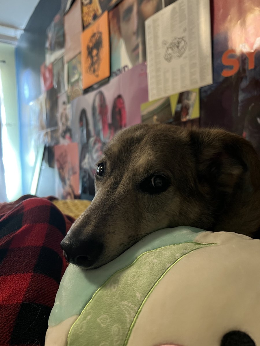 phia | :p tweet media