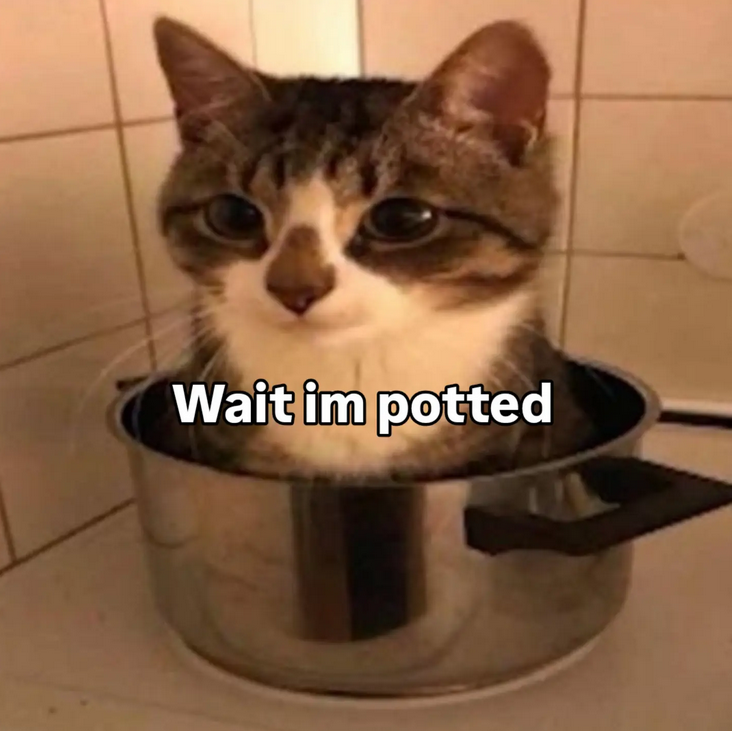 i drink soup tweet media