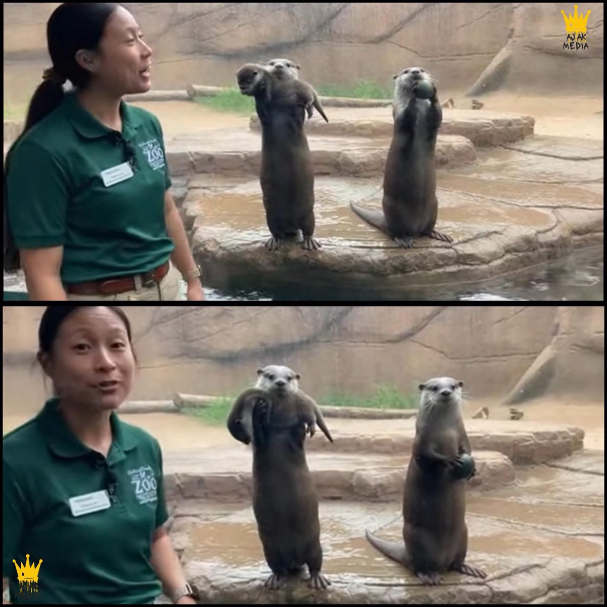 Mr PitBull tweet media