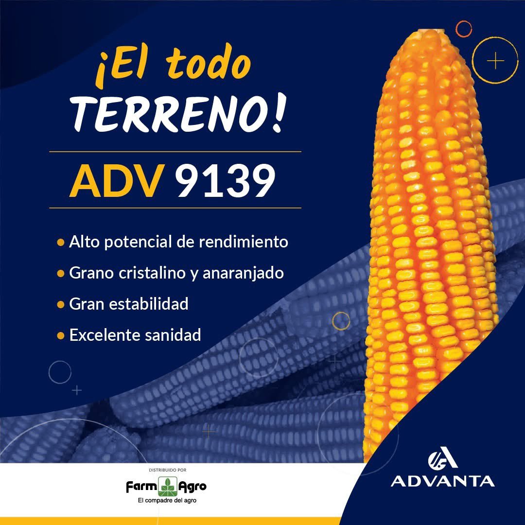 Actores Productivos tweet media