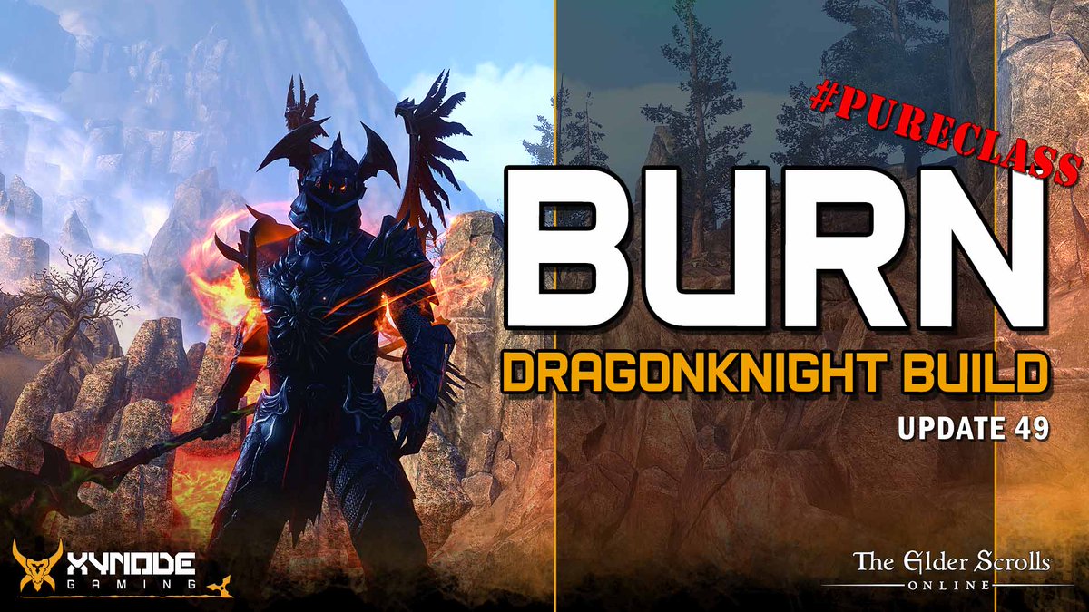 Xynode Gaming 🎮 tweet media