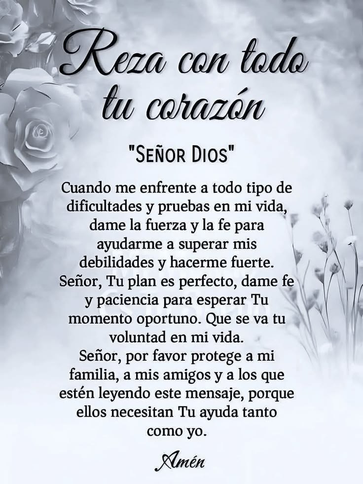 AmeN♥️PadrE♥️
QueridO♥️En♥️
Ti♥️ConfiO♥️🙏🌹