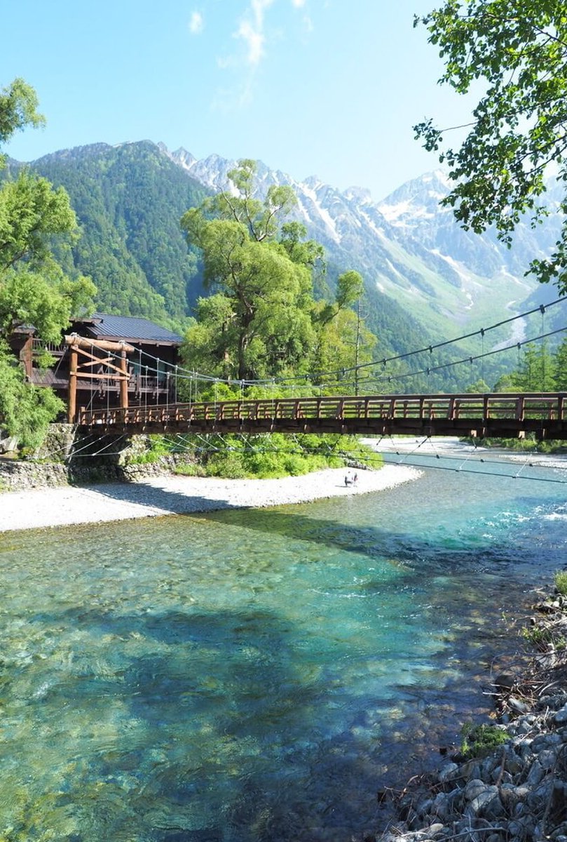 岩田 文恵 tweet media