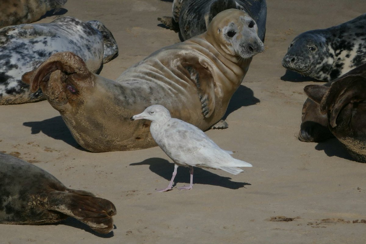 Thomas Porter tweet media