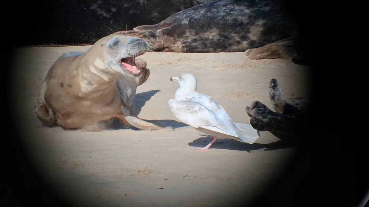 Thomas Porter tweet media