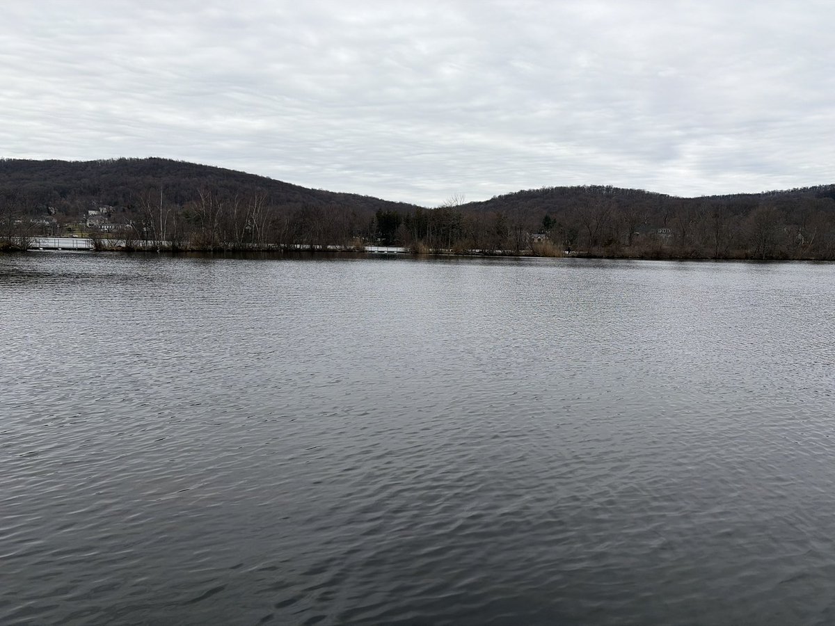 Dominick tweet media