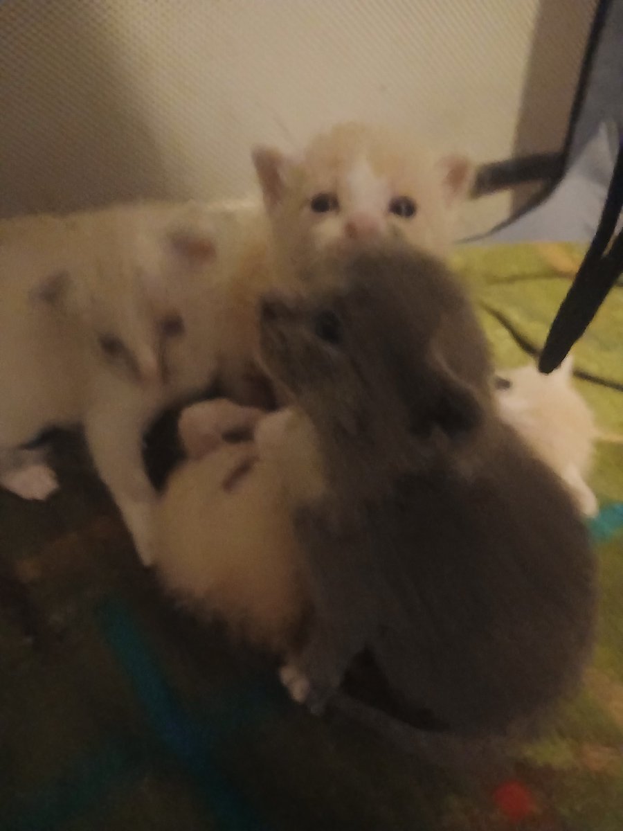 Brandon Craft tweet media