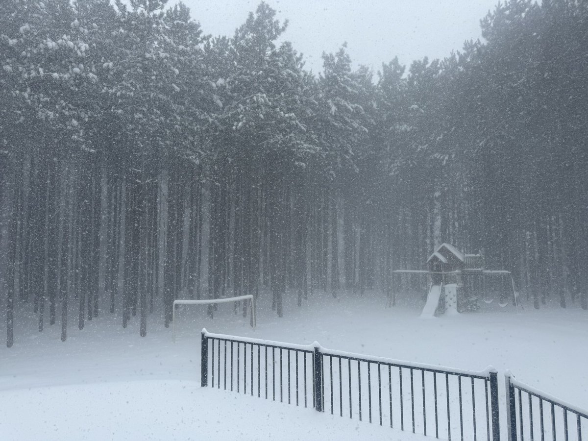 Andy Herman tweet media