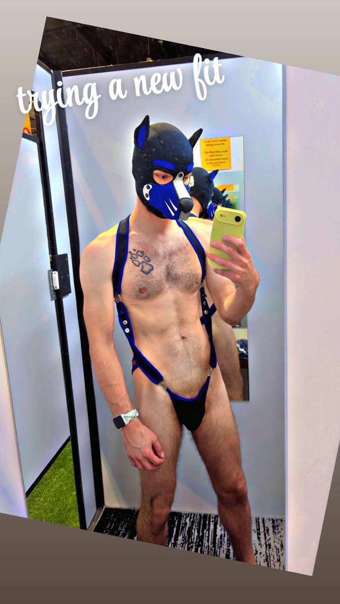 Pup Aspen tweet media