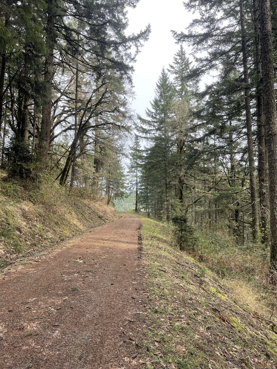 Magdalena🌲 tweet media